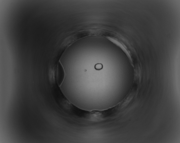 X0000099980333200806061528