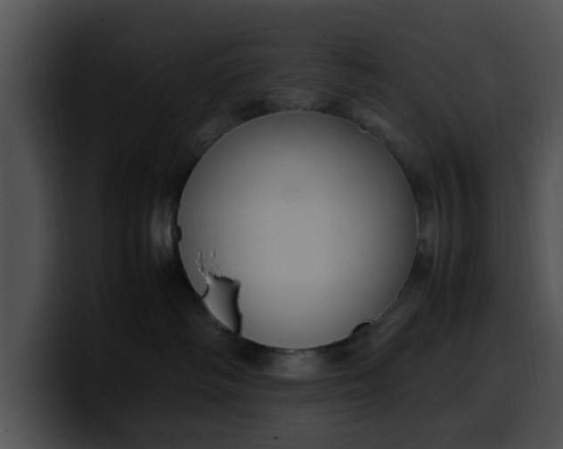 X0000099980334200806061528