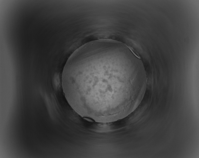 X0000099980335200806061528