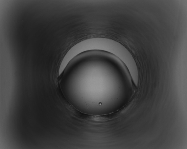 X0000099980336200806061528