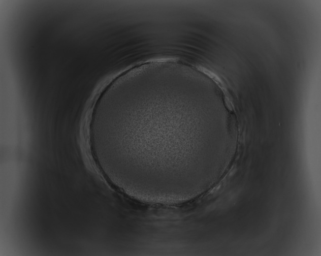 X0000099980337200806061528