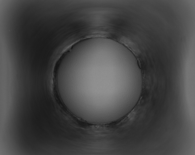 X0000099980338200806061528