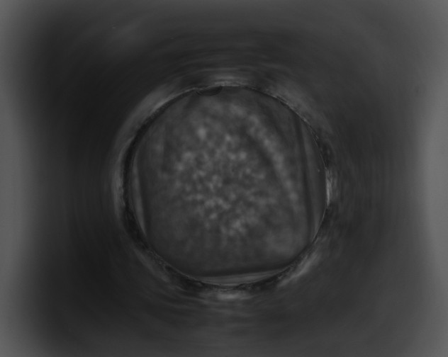 X0000099980339200806061528