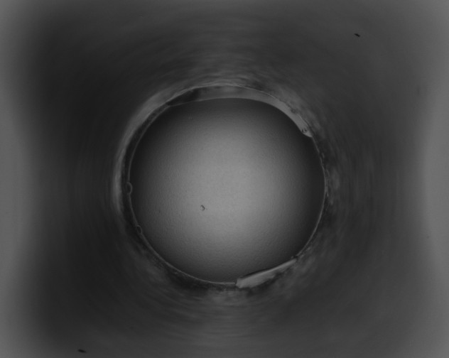 X0000099980340200806061528