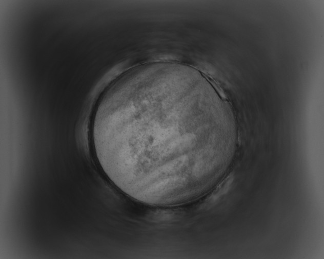 X0000099980341200806061528