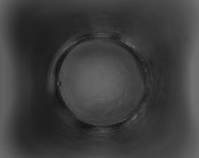 X0000099980343200806061528