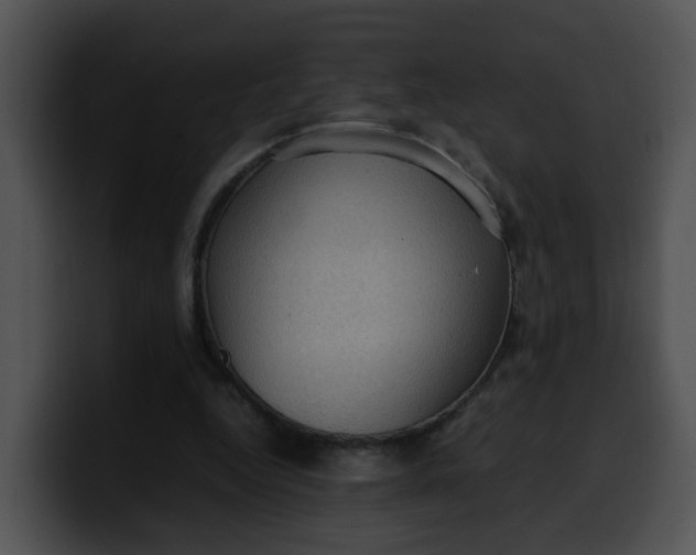 X0000099980344200806061528