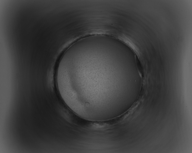 X0000099980346200806061528