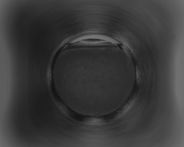 X0000099980348200806061528