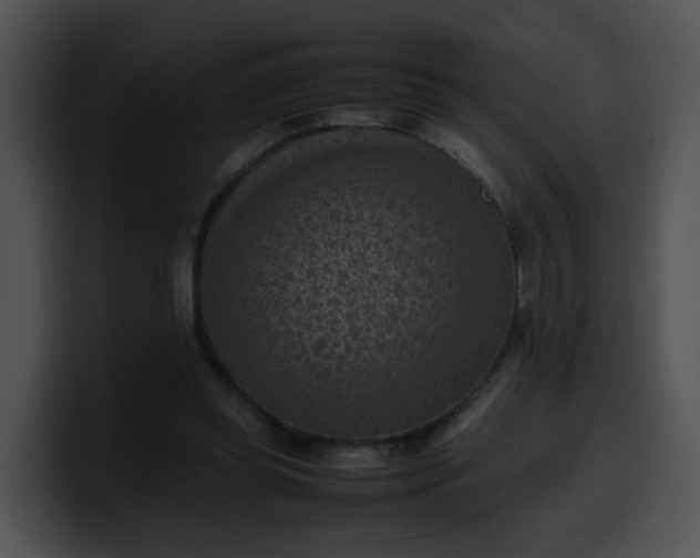 X0000099980349200806061528