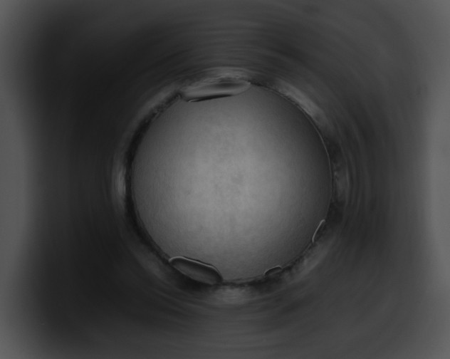 X0000099980350200806061528