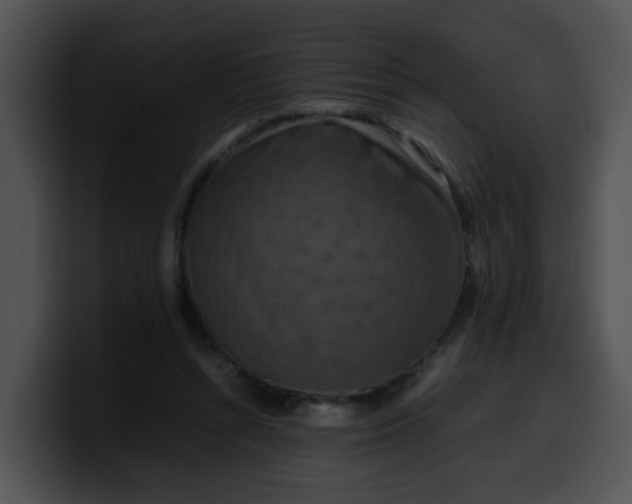 X0000099980352200806061528