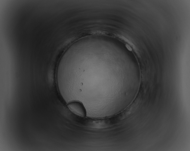 X0000099980353200806061528