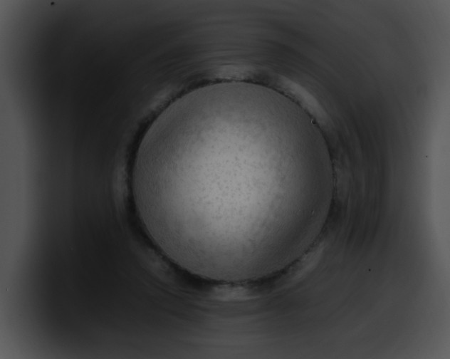 X0000099980354200806061528