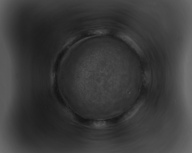 X0000099980355200806061528