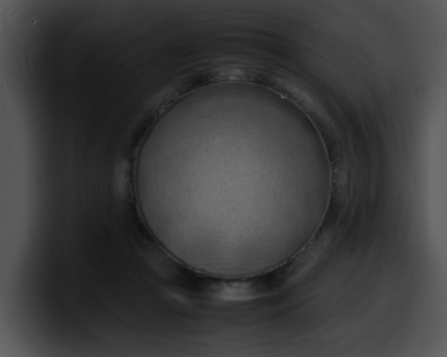 X0000099980361200806061528