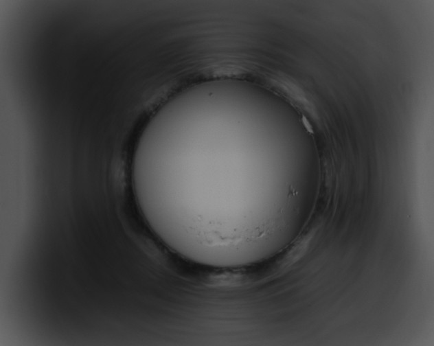 X0000099980362200806061528