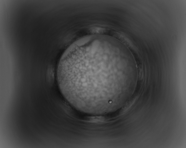 X0000099980363200806061528