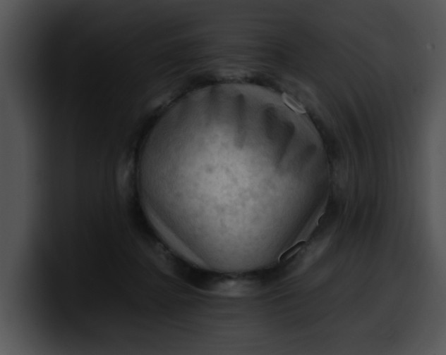 X0000099980364200806061528