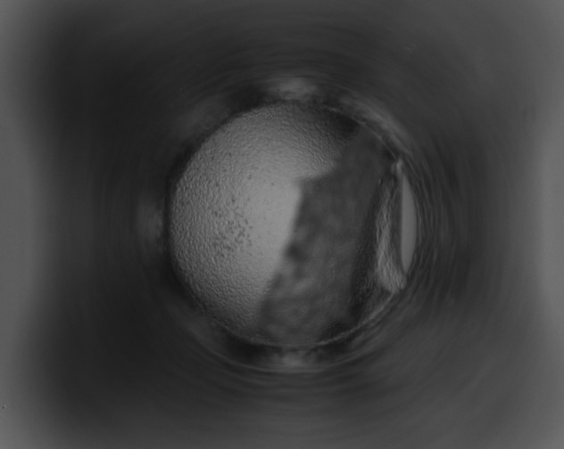 X0000099980365200806061528