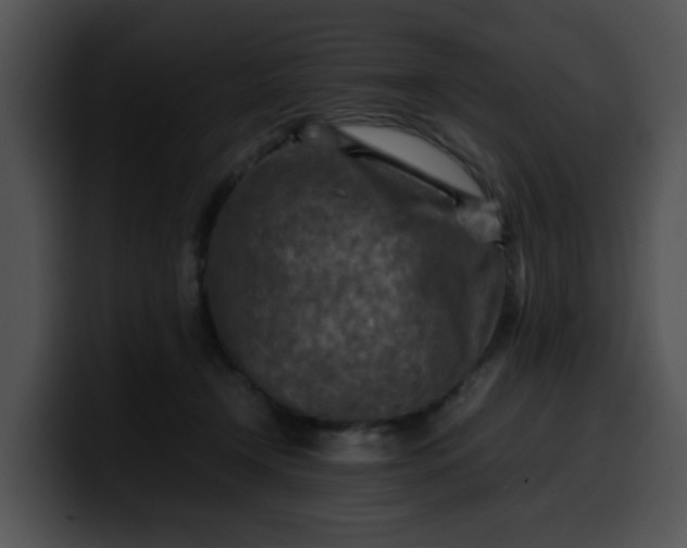 X0000099980366200806061528