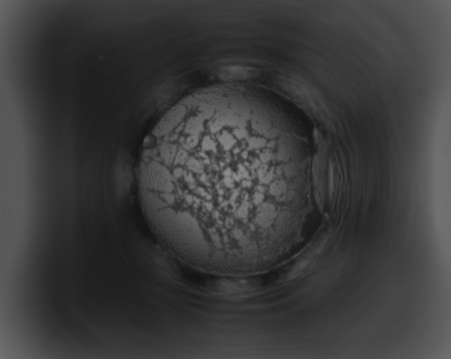 X0000099980367200806061528