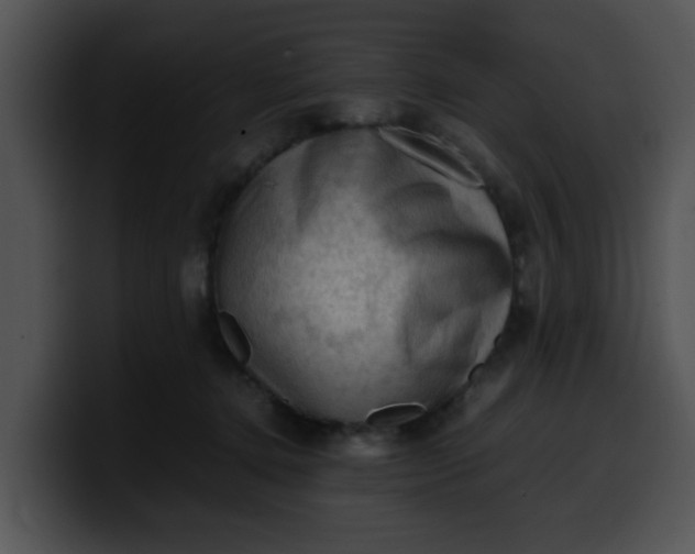 X0000099980368200806061528