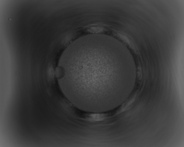 X0000099980371200806061528