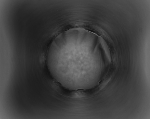 X0000099980372200806061528