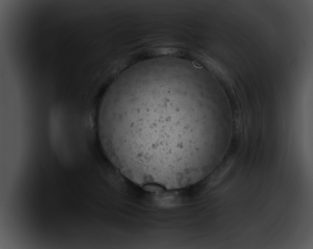 X0000099980373200806061528