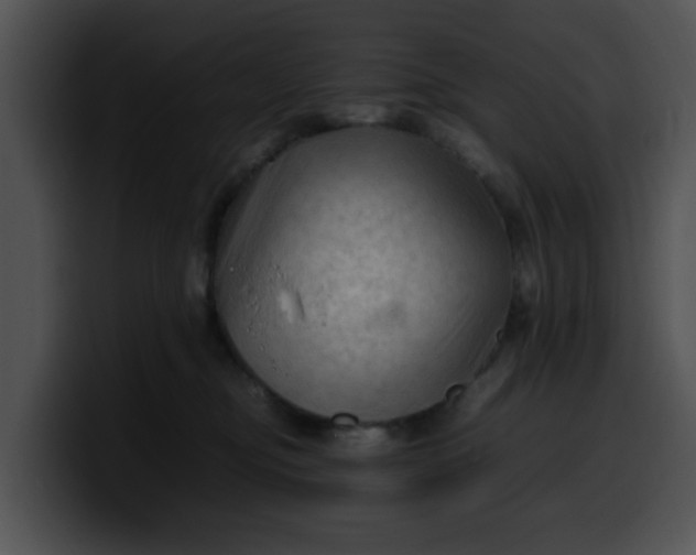 X0000099980374200806061528