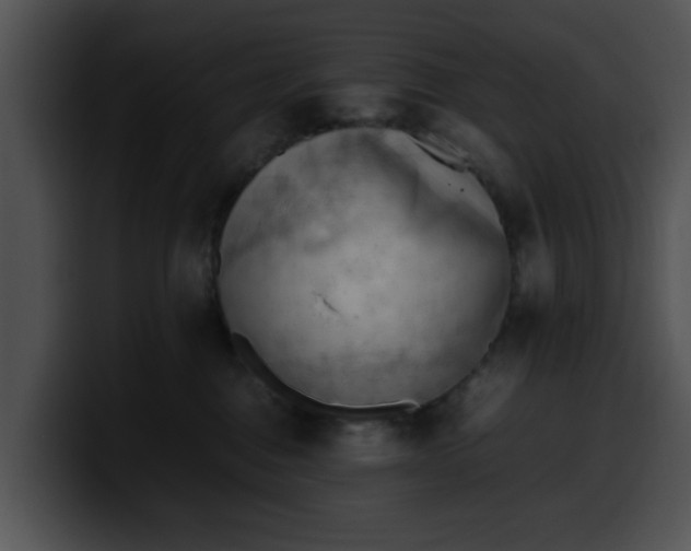 X0000099980376200806061528