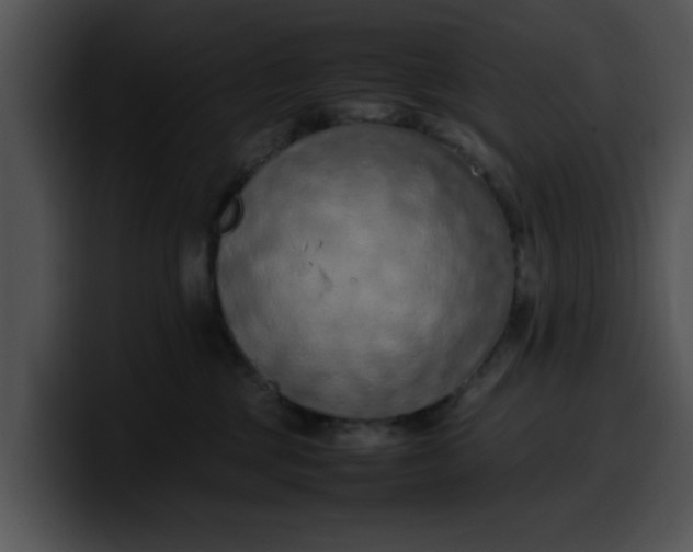 X0000099980377200806061528