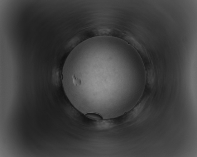 X0000099980378200806061528