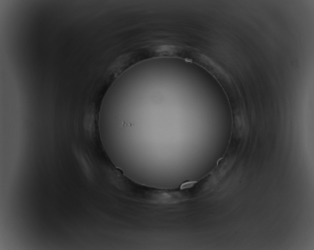 X0000099980379200806061528