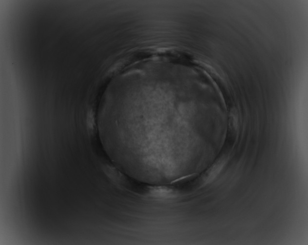 X0000099980380200806061528