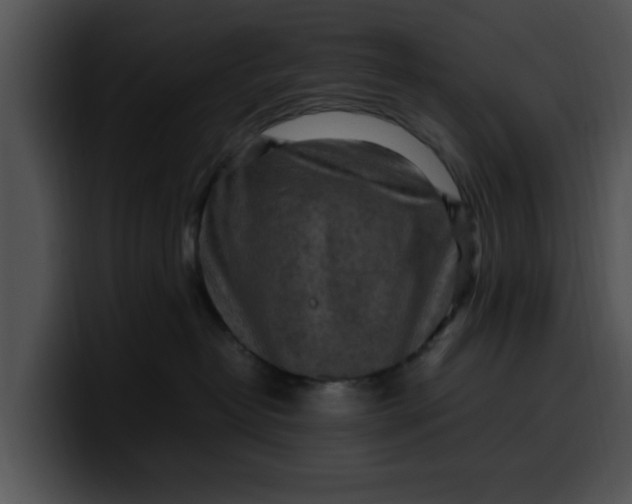 X0000099980382200806061528