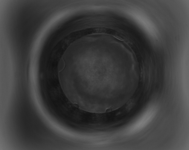 X0000099980383200806061528