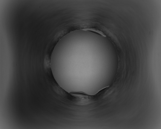 X0000099980384200806061528