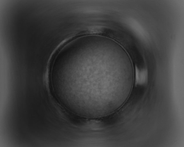 X0000099980387200806061528