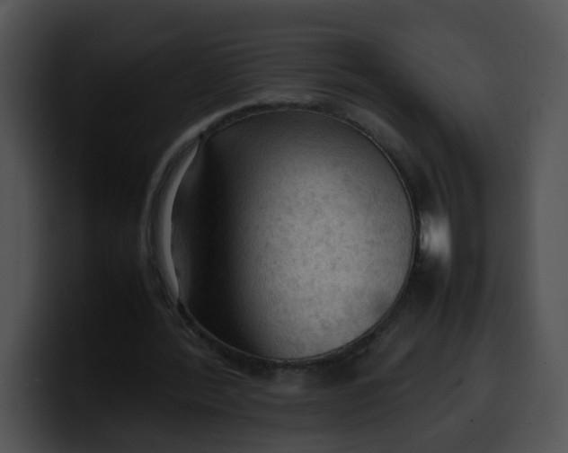 X0000099980388200806061528