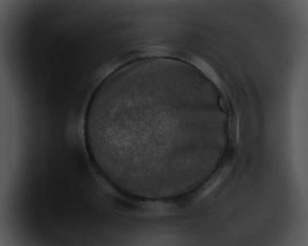 X0000099980389200806061528