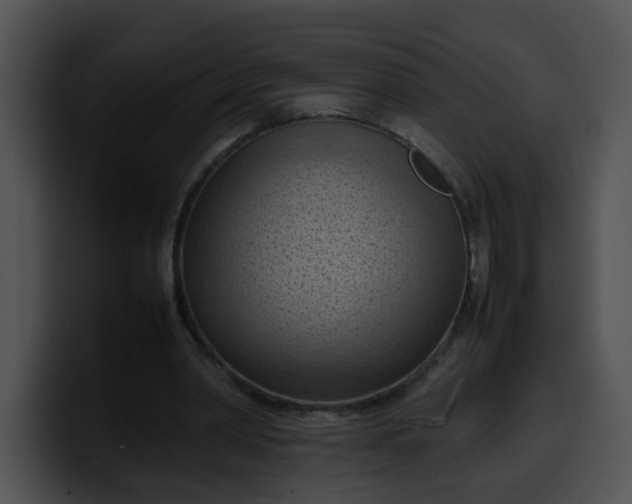 X0000099980390200806061528