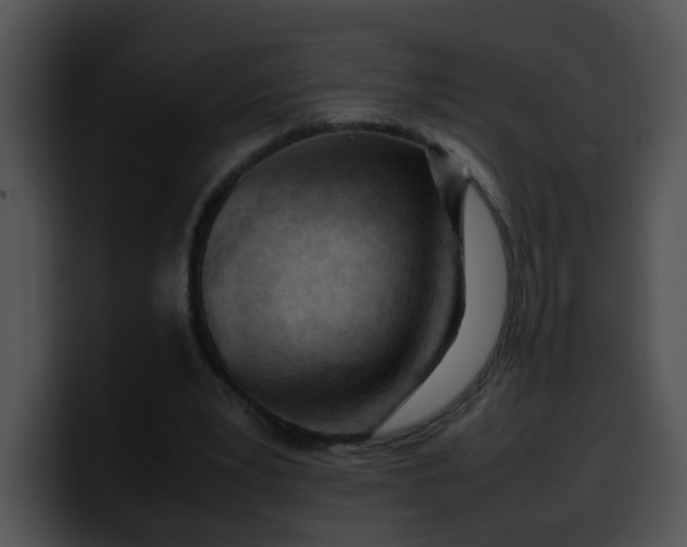 X0000099980391200806061528