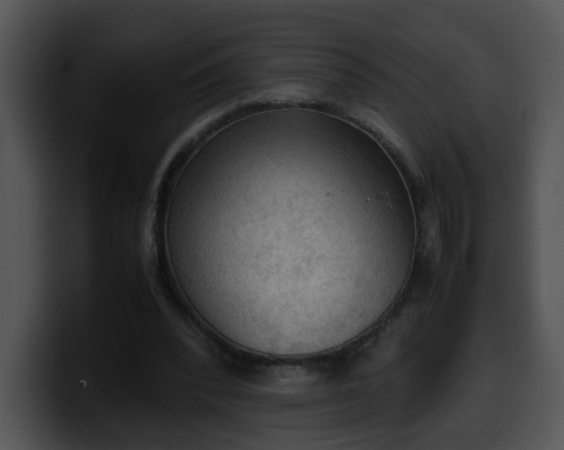 X0000099980392200806061528