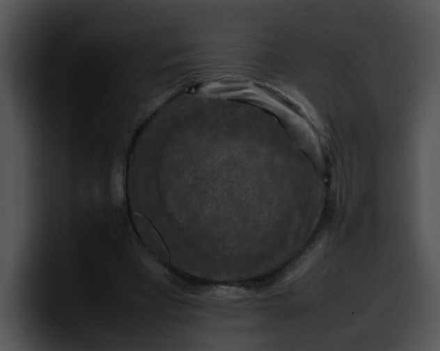 X0000099980393200806061528