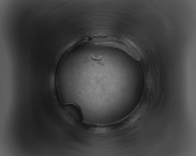 X0000099980394200806061528