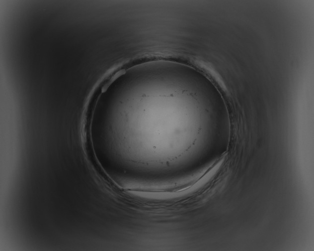 X0000099980395200806061528