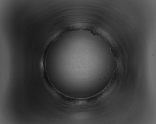 X0000099980398200806061528