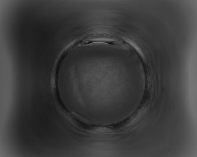 X0000099980399200806061528